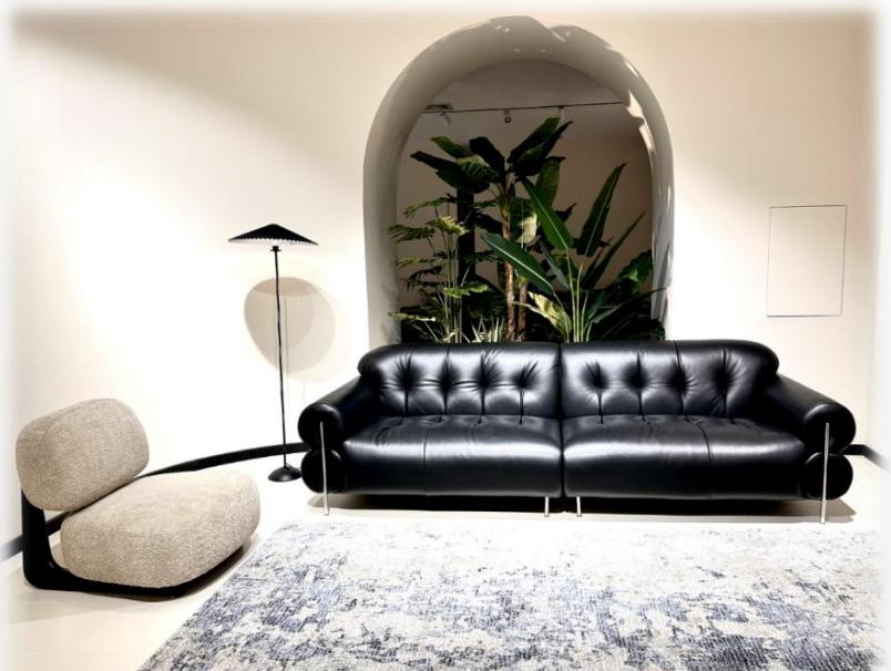 Model: S6558  high foot model/S6558-L floor standing model